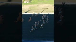 T-Rex Race || ViralHog