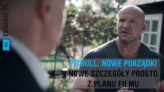 PITBULL. NOWE PORZĄDKI - Wiele ciekawych informacji.