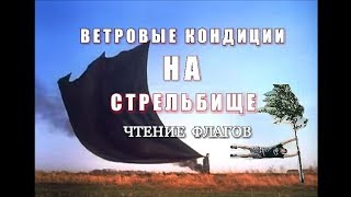 КАК учитывать ВЕТЕР на СТРЕЛЬБИЩЕ и ЧТЕНИЕ ФЛАГОВ ( Тони Бойер начинающим)!