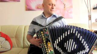 ,,Горький мёд,, исп. Юрий Гафнер    гармонь