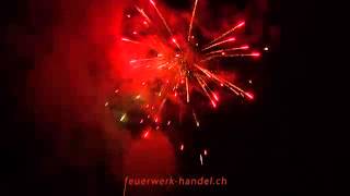 1694 Feuerwerk-Komposition bei feuerwerk-handel.ch