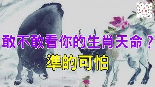 敢不敢看你的生肖天命，准的可怕！
