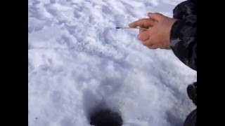 Безмотылка, игра кивка для плотвы