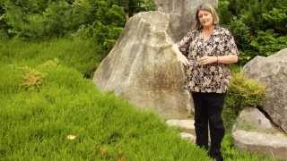 How to Prune Heaths and Heathers - Instructional Video w/ Plant Amnesty