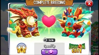 Dragon City: Clarity Dragon vs Virtue Dragon [EXCLUSIVE BREEDING] ?