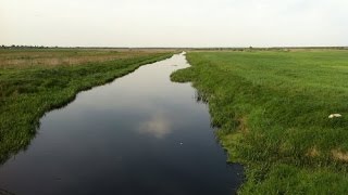 Atom Fishing 2! Ежедневное задание на карасином! Река Ипа.