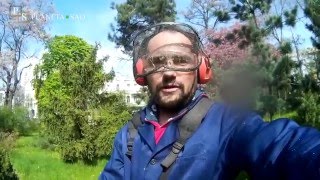 Кошение травы мотокосой STIHL FS 250