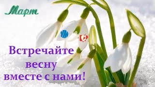 Акции, скидки, спецпредложения марта 2018