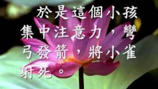 意外因果故事一則（觀成法師之廣結善緣2113）