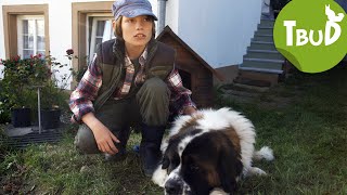 Hundeherz (Folge 1) | Tiere bis unters Dach | SWR Kindernetz
