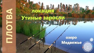 Русская рыбалка 4 - озеро Медвежье - Плотва у края карты