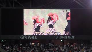 ミス・ハワイ 2008 二コール・フォックスさんのハワイアン・ダンス