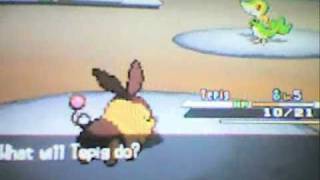 Shiny Tepig by Soft Reset in Pokémon Black Version.