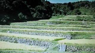 中本賢のKFB福島ガサガサ隊。阿武隈川紀行第二幕
