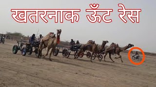 CAMEL RACE IN DHICHDA JAMNAGAR | जामनगर की खतरनाक ऊँठ दौड़