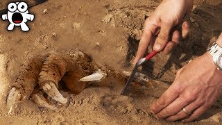 Scary Archaeological Discoveries Found In The World
