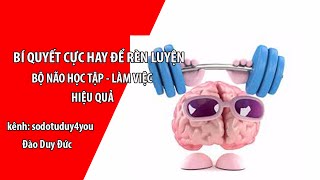 BÍ QUYẾT CỰC HAY RÈN LUYỆN CHO BỘ NÃO GIÚP HỌC TẬP - LÀM VIỆC HIỆU QUẢ HƠN