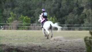 Beginner Novice Show Jumping & Cross Country & Rocking Horse