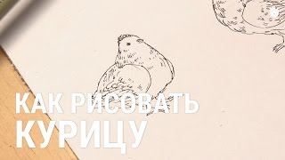 Как нарисовать курицу