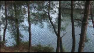 Weeping Eyes (Theodorakis - Saleas) Δακρυσμένα Μάτια