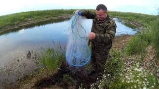 Кастинговая сеть с большим кольцом, вечерняя вылазка