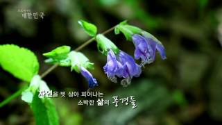 [한국정책방송KTV] 포토에세이 대한민국 23회 예고편