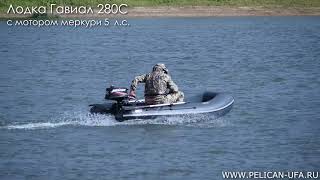 Лодка Гавиал 280С с мотором Меркури 5 л с