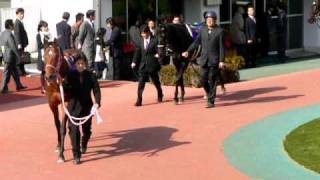 第39回高松宮記念（GⅠ）パドック【2009.3.29　中京競馬場】