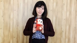 Learn Chinese Fun-Monkey Year Learn Monkey Chinese Idioms