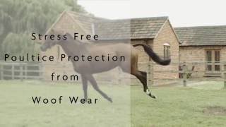 Woof Wear's New Medical Hoof Boot - Stress free Poultice Protection