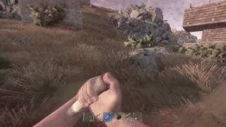 RUST [Experimental/2017] - How to use a crosshair!