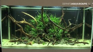 Aquarium ideas from InterZoo 2014 (pt.39) - AquaEl