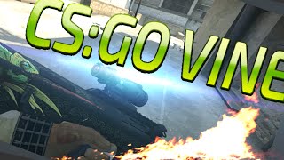 CS:GO VINE - КОГДА ПОДОБРАЛ КРУТУЮ ПУШКУ