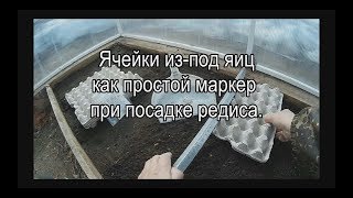 Ячейки из под яиц как простой маркер при посадке редиса.