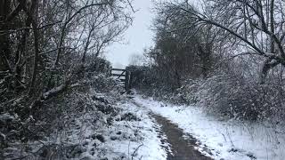 Winter Snowstorm Sounds for Deep Sleep | Falling Snow & Strong Wind Sounds for Relaxing & Insomnia