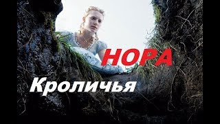 Крольчата в норе. Кроличья нора. Разведение кроликов.