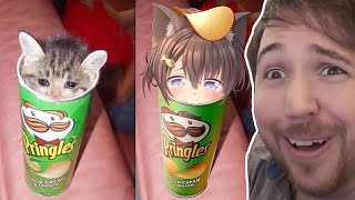 MAKING EVERYTHING ANIME MEMES #5