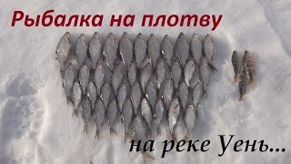 Рыбалка на плотву на реке Уень в деревне Умна. 28-29 февраля 2016г.