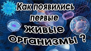 Как появились первые живые организмы? (синтетическая озвучка)