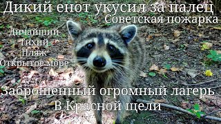 Поход через горы и по берегу моря. Прасковеевка - Криница через Красную щель