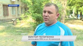 Когда ветки в квартире