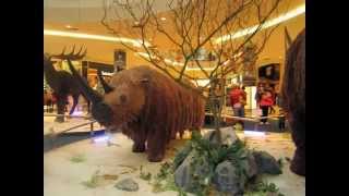 Exhibits of Ice Age Animals