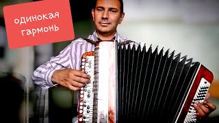 Баян Мелодия. Одинокая гармонь.