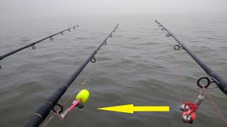 Карпы не дадут уснуть . Попал на ход сазана к МОРЮ