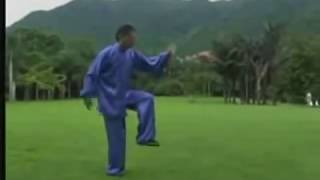 Тайцзицюань, Чэнь тайцзи Ушу цигун // Taiji Chen style  Xiao Jia tai chi qigong wushu