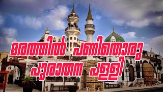 മരംകൊണ്ടൊരു പള്ളി I AL TAYEBAT MASJID
