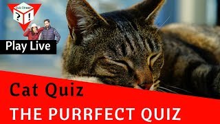 Cat Quiz
