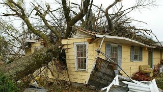 7 EXTREME Dangerous Tree Fails Compilation 2019 ¦¦ Tree Removal Fail ¦¦ Tree Falling in House