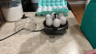 Dash Rapid Egg Cooker Review