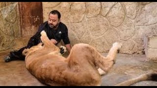 سوري يحول منزله الى حديقة للحيوانات المفترسة